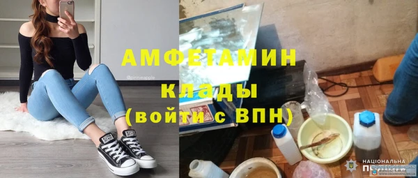 шишки Белоозёрский
