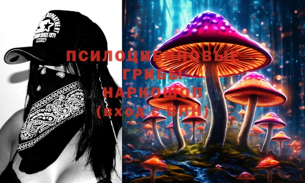 шишки Белоозёрский