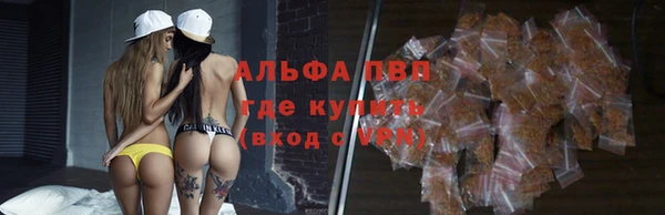 шишки Белоозёрский