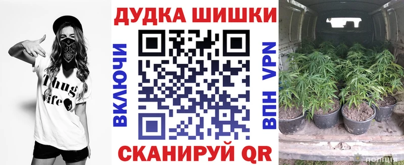 Марихуана сатива где можно купить наркотик Кудымкар